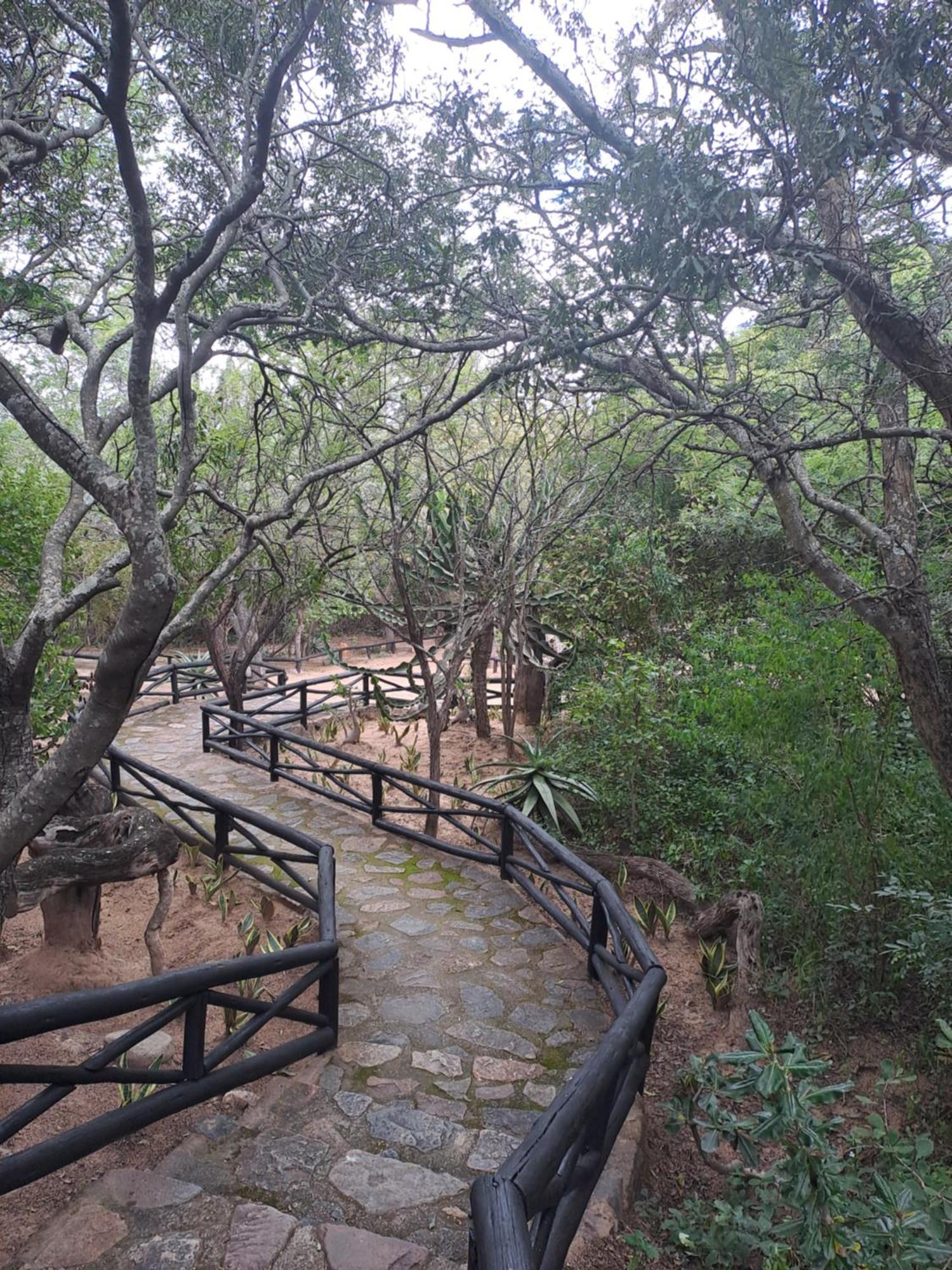 Little Bush Lodge Hoedspruit Exteriér fotografie