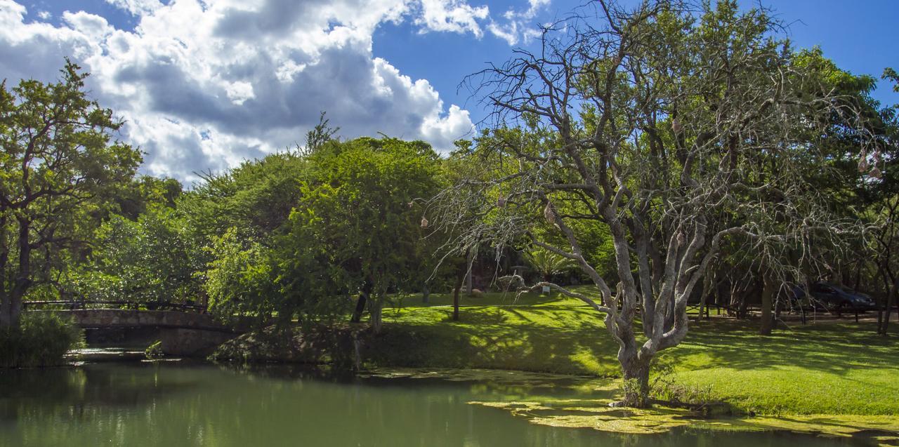 Little Bush Lodge Hoedspruit Exteriér fotografie