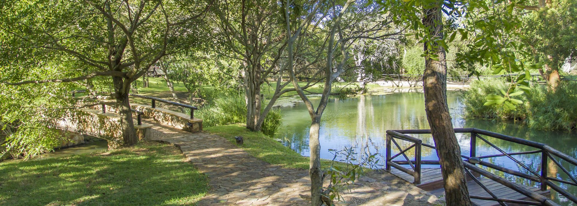 Little Bush Lodge Hoedspruit Exteriér fotografie